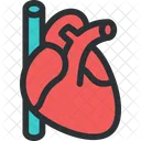 Hearth Pulse Cardiology Icon