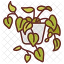 Heartleaf Philodendron Heart Leaves Leaves Icon