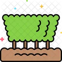 Hedge  Icon