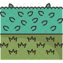 Hedge  Icon