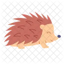 Flat Hedgehog Icon