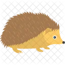 Hedgehog Animal Porcupine Icon
