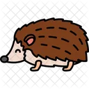 Hedgehog Animal Wild Icon