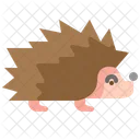 Hedgehog Forest Wild Animal Icon