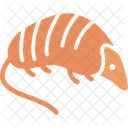 Hedgehog Porcupine Animal Icône