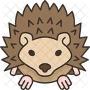 Hedgehog Spines Rodent Icon