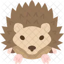 Hedgehog Spines Rodent Icon