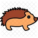 Hedgehog Spiny Pet Icon