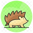 Hedgehog Animal Specie Icon