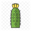 Hedgehog Cactus  Icon