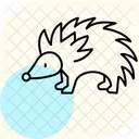 Hedgehog Icon