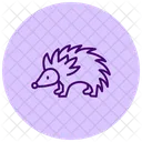 Hedgehog Icon