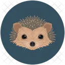 Hedgehog Porcupine Spikes Icon