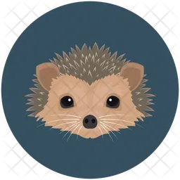 Hedgehog  Icon