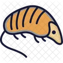 Hedgehog Porcupine Animal Icon