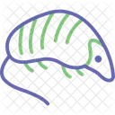 Hedgehog Porcupine Animal Icon