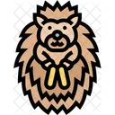 Hedgehog Porcupine Pet Icon