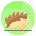Hedgehog Animal Specie Icon