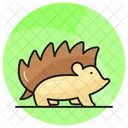 Hedgehog Animal Specie Icon