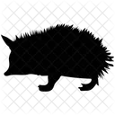 Hedgehog Porcupine Animal Icon