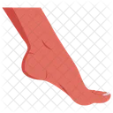 Heel Foot Anatomy Icon