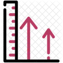 Height Stature Growth Icon