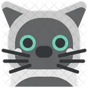 Katze Haustier Tier Icon