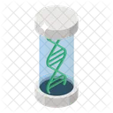 Helice De ADN Investigacion De ADN Cromosoma Icono