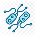 Helicobacter pylori  Icon