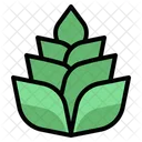 Heliconia Bloom Nature Icon