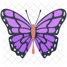 Free Free 238 Butterfly Svg Outline SVG PNG EPS DXF File