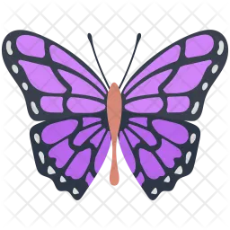 Heliconius Sara Butterfly  Icon