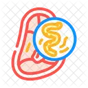 Helminth Meat Parasite Icon