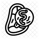 Helminth Meat Parasite Icon