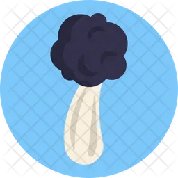 Helvella Mushroom  Icon