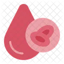 Globulos Vermelhos Sangue Celulas Ícone