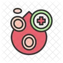 Hematologia Sangue Medicina Ícone