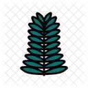 Hemlock Leaf Tree Icon