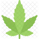 Hemp Leaf Plant Icon