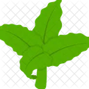 Hemp  Icon