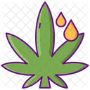 Hemp Oil  Icon