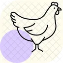 암탉 새 농장 아이콘