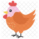 Hen Chicken Domestic Animal Icon