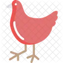 Henm Hen Chicken Icon