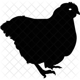 Hen  Icon
