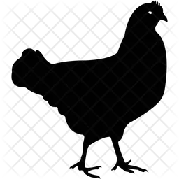 Hen  Icon