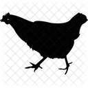 Hen Black Hen Cock Icon
