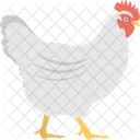 Hen Animal Poultry Icon