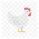 Hen Chicken Animals Icon