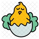Hatching Chick Hen Icon